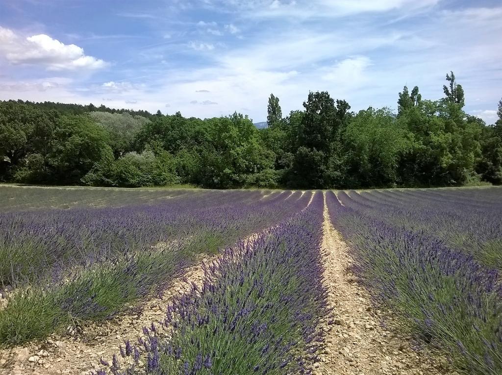 Hotel Sainte Anne "Le Verdon" Les Salles-sur-Verdon Eksteriør billede